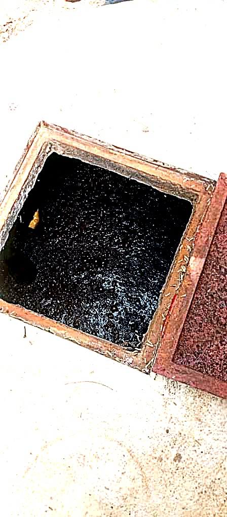 Bio-digesteur