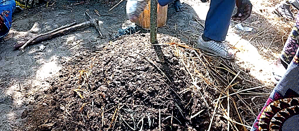 Préparation compost
